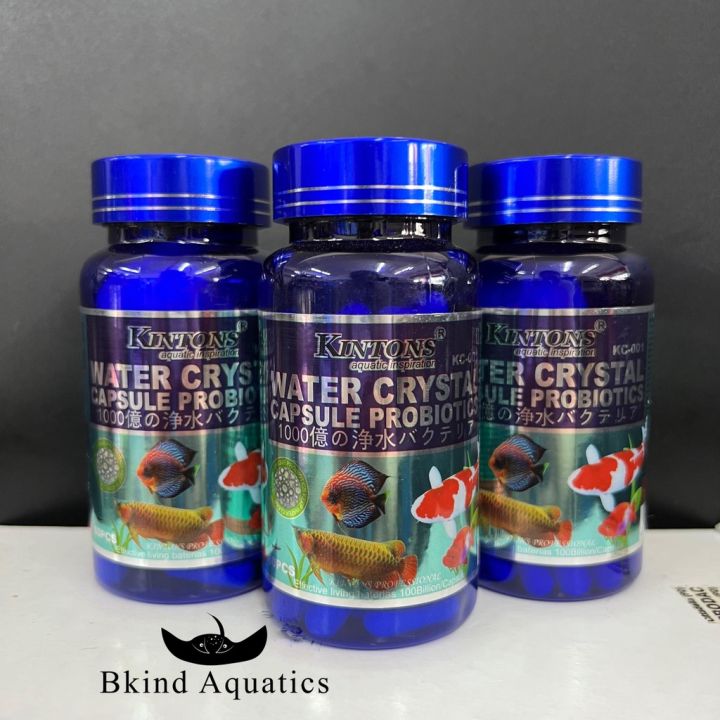 Kintons Aquarium Water Crystal Capsule Probiotics Reduce Ammonia ...