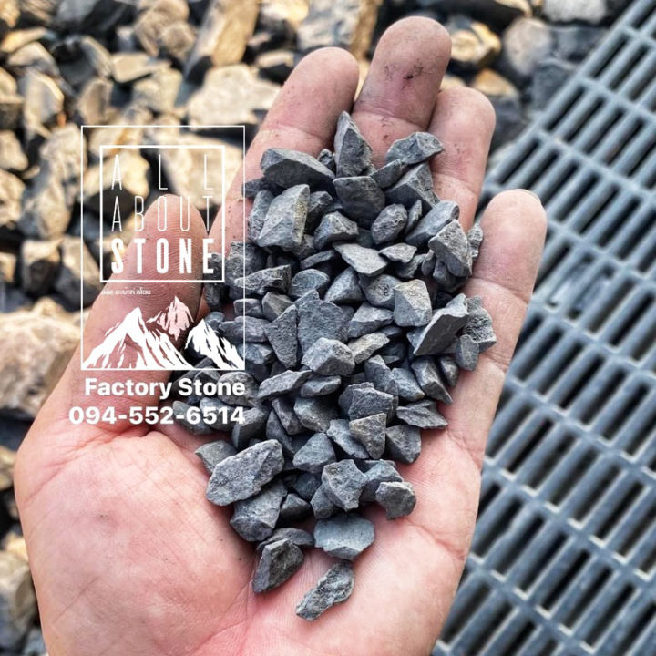 10 อันดับหินเกล็ดตกแต่งสวน ตู้ปลา และกระถางต้นไม้ ยอดนิยมประจำปี 2025