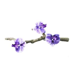 สัตว์เลื้อยคลานปีนเขา Terrariums สาขาจุกดูดการตกแต่งตู้เลี้ยงสัตว์น้ำชีวิตเหมือนเถาไต่สำหรับตุ๊กแกกิ้งก่า