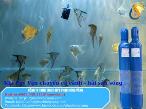 BÌNH KHÍ OXY 14 LÍT CHUYÊN VẬN CHUYỂN CÁ CẢNH - HẢI SẢN SỐNG