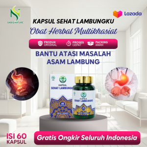 Obat Asam Lambung Gerd Maag Kronis Tukak Lambung Perih Sehat Lambungku Isi 60 Kapsul BPOM