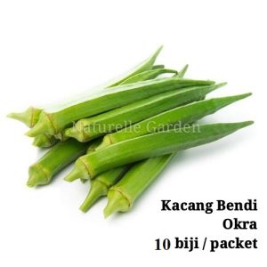 Biji Benih Kacang Bendi Okra Seeds Benih Sayur Buah Vegetable Seeds 10 seeds per pack