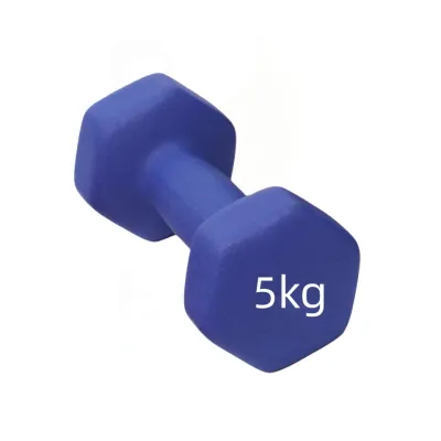 【Fast Delivery】Hexagon Dumbbell Home Weight Lifting Training Equipment Fitness Exercise Gym Workout 1kg 2kg 3kg 4kg Vinyl Dumbbell Lady Dumbbell In Fitness Dumbbell Set Pilates Gym Equipment