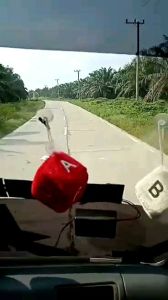 KNALPOT SERIGALA MOBIL FUSO TRONTON / KONTAINER / BIG BUS / BIS BESAR