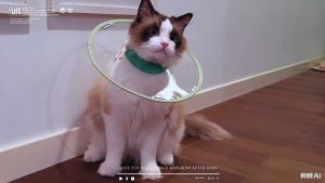 Meilovmao Clear Pet E-Collar Soft PVC Anti Lick Bite Recovery Cone Cat Dog Vision Safe Kolar Pelindung