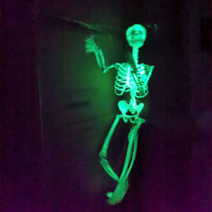 Halloween Skeleton 170cm Realistic plastic skeleton for haunted house decoration perfect for escape rooms KTV Artificial human figure display pieces