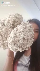 sereh wangi | avena | bunga kering | dried flower | bunga rustic