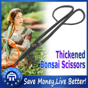 【Local delivery】 Beginner Bonsai Tool Long Handle Scissors Gardening Plant Branch Shears 20cm New Drop Shipping Long-Handle-Scissors