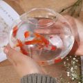 JNFGTV Clear Transparent Round Fish Tank Plastic Portable Fish Bowl Good View Small Aquarium Bowl Living Room. 