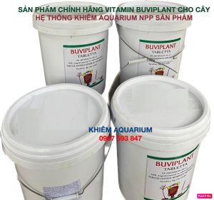 [TẶNG 35V]VITAMIN BUVIPLANT TRÁI CÂY GIÚP CÂY HẤP THỤ ĐẦY ĐỦ DINH DƯỠNG PHÁT TRIỂN RỄ VÀ TĂNG TRƯỞNG NHANH