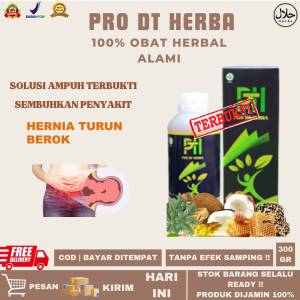 Obat Hernia Turun Berok Ampuh Benjolan di Pusar Turun Peranakan Usus Turun Atasi dengan PRO DT HERBA Original Alami Bpom