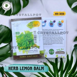 Benih Bibit Herba Lemon Balm Haira Seed - HERBA LEMON BALM