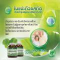 Ginkgo Biloba Extract ใบแปะก๊วย สกัด จิงโกะ สูตรเข้มข้น อาหารเสริม 30 แคปซูล ของแท้100%. 