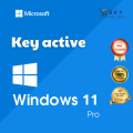 Genuine Permanent Copyright Key Pro Key, 11 Home, Windows 10 Home - Shop Premium Sky. 