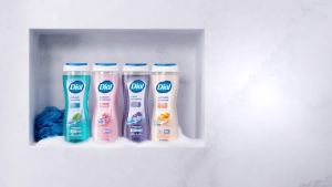 Dial Body Wash Refresh & Renew Spring Water 32 fl oz