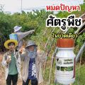 กอร์ดอน ออร์แกนิค ตร้าก้าวทวี สมุนไพรกำจัดศัตรูพืช เป็นออร์แกนิคไม่มีสารเคมี ไม่มีสารตกค้าง. 