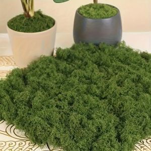 30/50g Green Plants Decoration landscaping Micro-landscape  Simulated Moss Fake Woolen Moss Potted