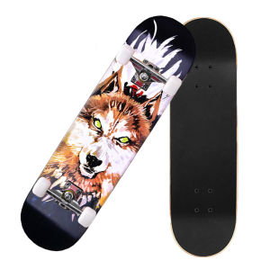 Ván trượt skateboard Ván thi đấu cao cấp Mặt nhám 8 lớp nhiều mẫu mã khác nhau Môn thể thao yêu thích của giới trẻ tải trọng 300kg.