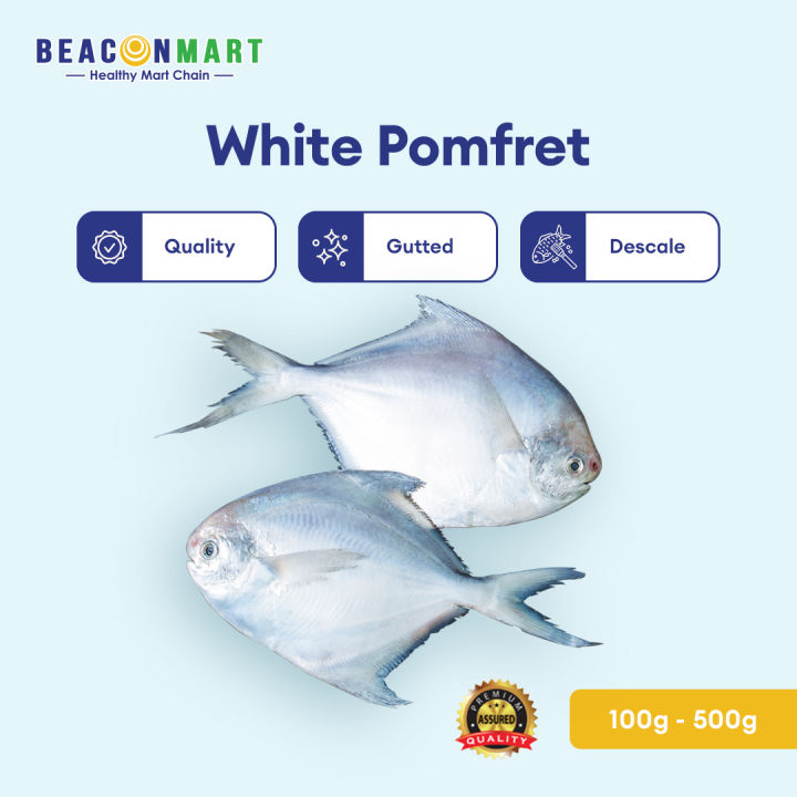 [Beacon Mart] Whole Fish Fresh Frozen White Pomfret Seafood Sabah
