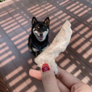 Home - ขากระต่ายอบแห้ง ขากระต่าย ขนมน้องหมา ขัดฟันสุนัข