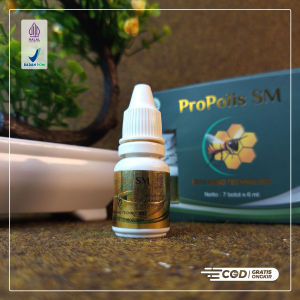 Propolis Sm Brazilian Infeksi Sariawan Gusi Pipi Bengkak Akibat Gusi Luka Bibir Perih Sariawan