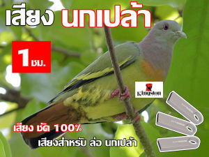 เสียง ล่อนกเปล้า นาน 1 ชั่วโมง USB แฟลชไดร์ฟ สำหรับ ใช้ล่อ นกเปล้า หมานๆๆ