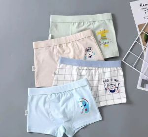 Celana Dalam Anak Laki-laki Pakaian Dalam Balita Celana Remaja Celana Pendek Celana Boxers Import
