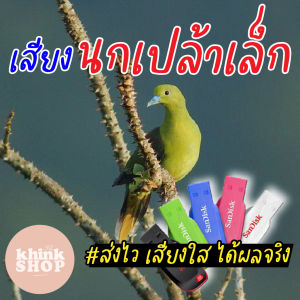 เสียงต่อนกเปล้าเล็ก เมมเสียงนกเปล้าเล็ก แฟลชไดร์ฟเสียงต่อนกเปล้าเล็ก เสียงนกเปล้าเล็ก มีเก็บเงินปลายทาง