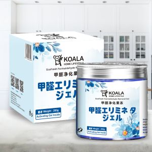🇸🇬 🔥Koala Home Japan Formaldehyde Jelly Gel Household Formaldehyde remover Absorbent 200g日本甲醛清除剂甲醛吸除膏