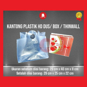 (29X40X11) PLASTIK HD BOX / DUS 22X22 / THINWALL ISI 50 LEMBAR