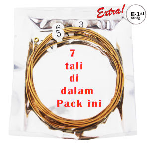 Acoustic Folk Guitar String Set (.010-.048) Phosphor Bronze Medium Tension String Set