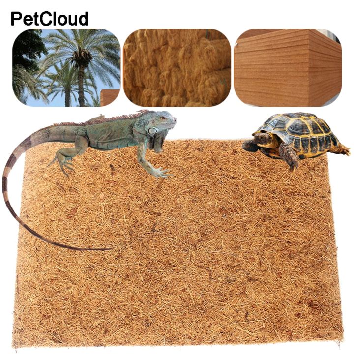 Reptile Natural Coir Mat Coir Turtle Pet Cushion Terrarium Lining Reptile Supplies Lizard Snake Pet Products | Lazada.vn