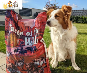 Hạt cho chó Taste Of The Wild 12.2kg [nguyên seal] Vị heo rừng