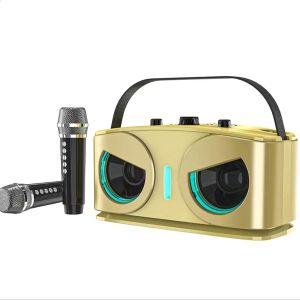 RD-Q81B portable Bluetooth subwoofer 6.5-inch dual-speaker wireless microphone RGB lighting effect