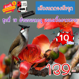 G8shop เสียงนกกรงหัวจุก ชุดที่ 18 สำนวนนกครู เพลงเบิ้ลลากหวาย mp3 ความยาว 10 ชม.เสียงชัด เสียงใสกังวาน ได้ผล100%