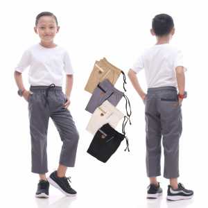 Sirwal Pria Dewasa Celana Cingkrang Casual Sirwal Katun Twill