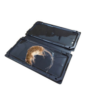 Keo dính chuột bằng nhựa - bẫy chuột siêu dính