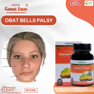 Obat Bells Palsy Obat Wajah Melorot Sebelah Obat Bibir Miring Obat Wajah Kaku Sebelah Obat Stroke Ringan Obat Mulut Tidak Simetris Obat Wajah Lumpuh Alis Melorot Sebelah Dengan Kapsul Gamat Emas