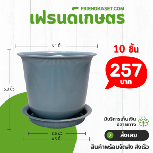 กระถาง กระถางต้นไม้ มินิมอล ถ้วยจีน+จาน ขนาด 6 นิ้ว สีเทา 10 ใบ ชิ้น อัน