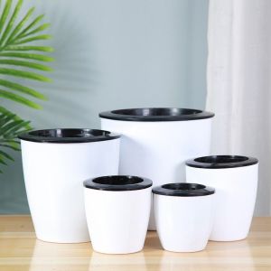 Sixtyfivehouse ส่งด่วนทุกวัน กระถางต้นไม้ รดน้ำต้นไม้อัตโนมัติ กางถางแบบเก็บนํ้าได้ กระถาง2ชั้นสีขาวไม่ต้องรดนํ้าเอง 4 /.5. /6 /.7 /.9 นิ้ว