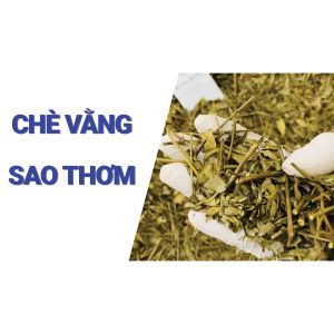 Chè Vằng Lá Sẻ 100g (Sao Vàng Hạ Thổ)
