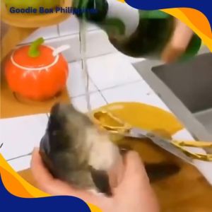 Fish Scale Scraper with Cover Fish Cleaning Tool Kitchen Gadget