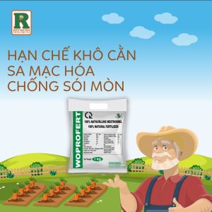 PHÂN BÓN HỮU CƠ GÀ XUẤT XỨ HÀ LAN ĐẬM ĐẶC VÀ TAN CHẬM