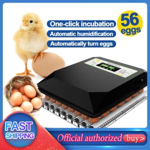 DEKES Egg Automatic Digital Incubator 56/128 Eggs Fully Automatic Egg Incubator Auto Turning Hatcher Chicken Duck Goose Quail Bird Humidity Temperature Control 220V/12V Dual power supply Egg Incubator Fully Automatic