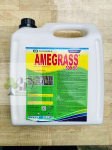 Pengendali Gulma AMEGRASS 500 SC dari Petrosida Gresik