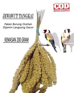 isi 200gr JEWAWUT TANGKAI Yellow Millet foxtail Camilan Hamster dan Pakan Burung
