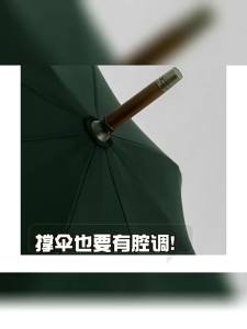 Vintage Duck Head Handle Umbrella Premium Solid Wood Long Handle Rain Parasol High End Fashionable Walking Cane Umbrella for Men