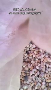 Sỏi Đa Sắc Hạt Nhỡ Trải Nền Thủy Sinh Bể Cá - Sỏi 3 Màu Trang Trí Tiểu Cảnh Cao Cấp [BÁN CHẠY]