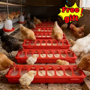 Free gift 28 holes Pigeon Bird Chicken Feeder 20cm Double-sided 12 Holes Plastic Poultry Quails Ducklings Feeder Trough