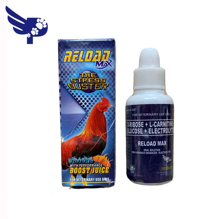 l carnitine for gamefowl RELOAD Max 15ml - New & Improved - Performance Enhancer - Electrolytes -  Excellence - for Gamefowl Rooster Fighting Cocks Gamebirds - plt -  petpoultryph Reload Gamecock - Lazada